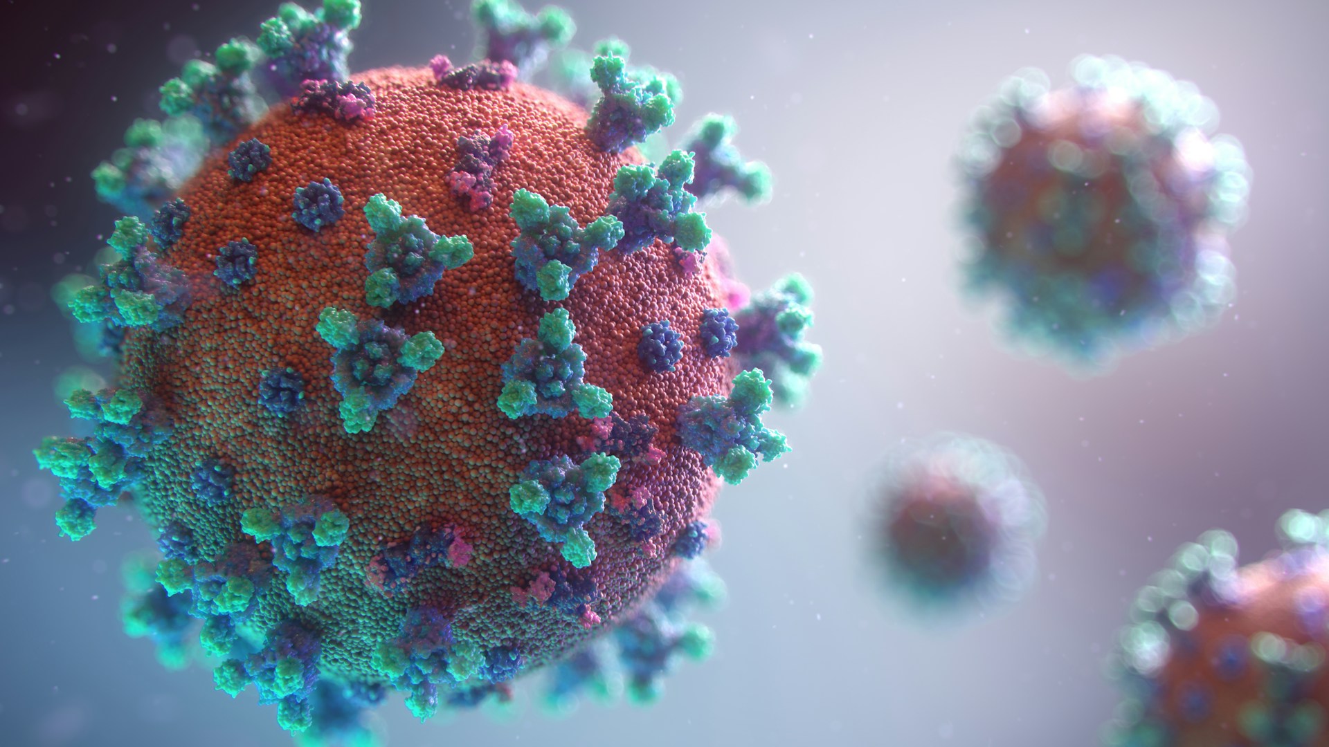 Coronavirus Particles Image